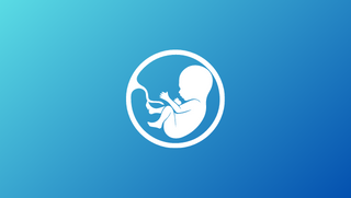 Monitor fetal y maternal, ecografos 3D, doppler