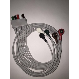 [PM011A040011] ECG 5 leads cable terminal, Adulto, snap, TPU, AHA para D100, Advanced